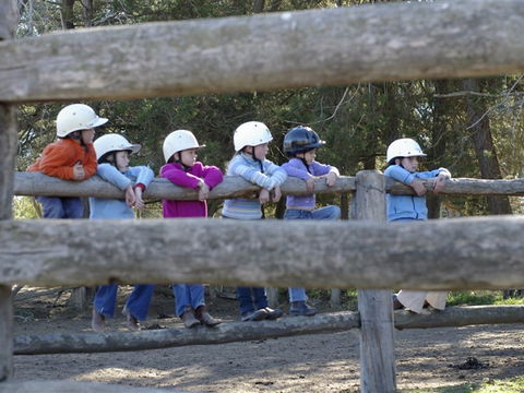 Harlow Park Horse Riding - Surfers Paradise Gold Coast 0