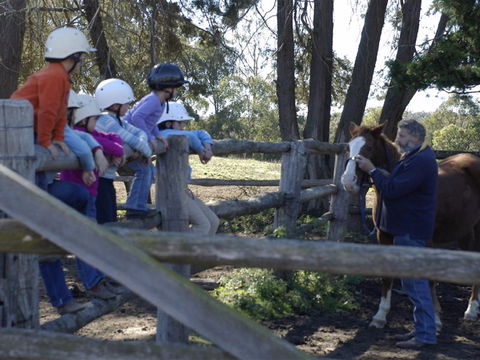 Harlow Park Horse Riding - Surfers Paradise Gold Coast 2