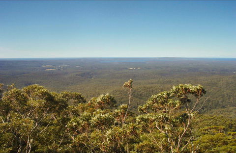 Jerrawangala National Park - Surfers Paradise Gold Coast 0