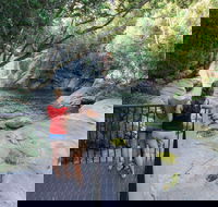 Josephine Falls walking track Wooroonooran National Park - Surfers Paradise Gold Coast