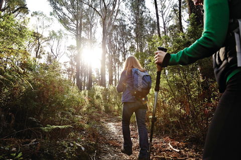 Kinglake National Park - Surfers Paradise Gold Coast 0