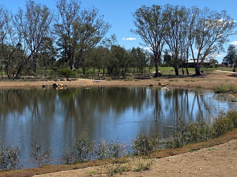 Lake King Wetlands At Rutherglen - Surfers Paradise Gold Coast 0
