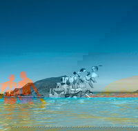 Llewellyn Dive Site - Surfers Paradise Gold Coast