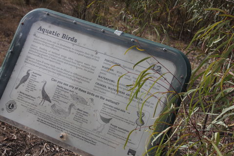 Martin Bend Wetland And Walking Trail - Surfers Paradise Gold Coast 2