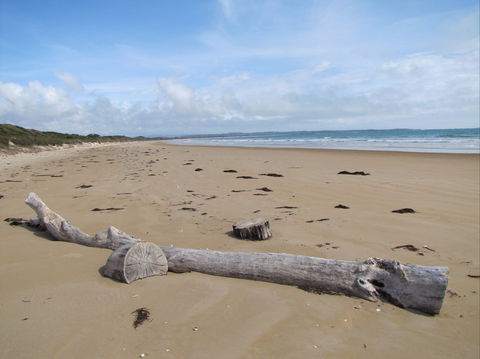 Narawntapu National Park - Surfers Paradise Gold Coast 2