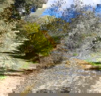 Naracoorte North Nature Park - Surfers Paradise Gold Coast