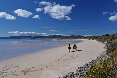 North West - Surfers Paradise Gold Coast 0