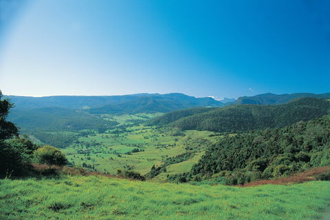 Numinbah Section, Springbrook National Park - Surfers Paradise Gold Coast 0