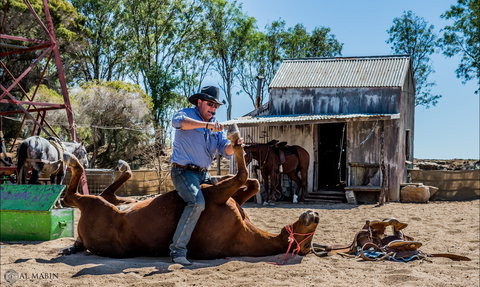Outback Stockman's Show - Surfers Paradise Gold Coast 2