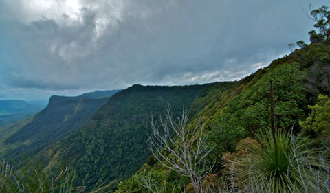 Pinnacle Walk And Lookout - Surfers Paradise Gold Coast 0