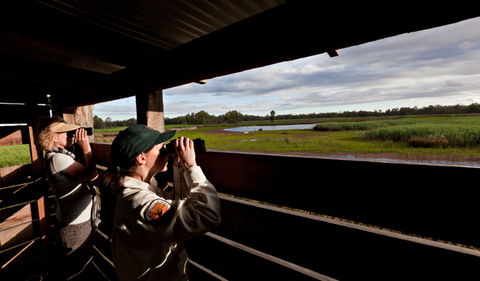Reed Beds Bird Hide Boardwalk - Surfers Paradise Gold Coast 0
