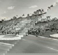 Rockhampton Bull Statues - Surfers Paradise Gold Coast