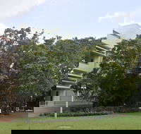 State Square Banyan Tree - Surfers Paradise Gold Coast