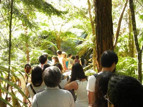 Tamborine Mountain Glow Worm Tours - Surfers Paradise Gold Coast 1