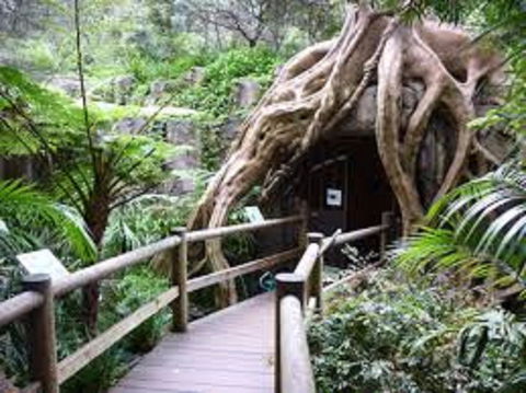 Tamborine Mountain Glow Worm Tours - Surfers Paradise Gold Coast 2