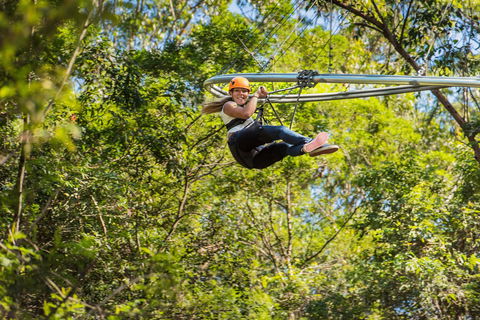 TreeTop Crazy Rider - Surfers Paradise Gold Coast 0