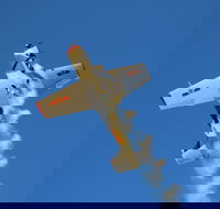 Warbird Aerial Adventures - Surfers Paradise Gold Coast