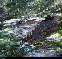 Washpools waterhole - Surfers Paradise Gold Coast