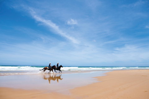 Worimi National Park - Surfers Paradise Gold Coast 2