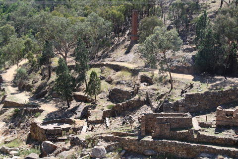Adelong Falls Gold Mill Ruins - Surfers Paradise Gold Coast 0