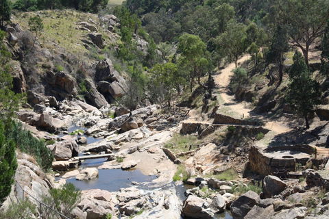 Adelong Falls Gold Mill Ruins - Surfers Paradise Gold Coast 1