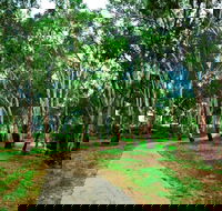 Adungadoo Pathway - Surfers Paradise Gold Coast