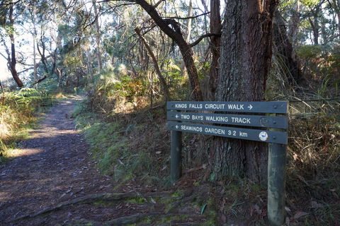 Arthurs Seat To Kings Falls Walk - Surfers Paradise Gold Coast 0