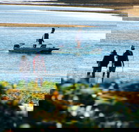 Ayr - Surfers Paradise Gold Coast