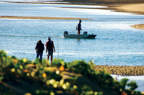 Ayr - Surfers Paradise Gold Coast 0