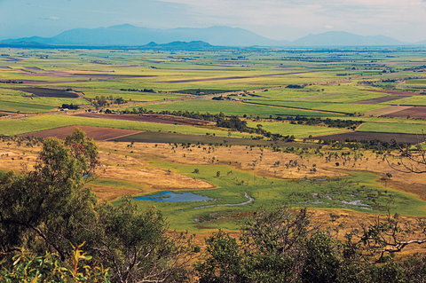Ayr - Surfers Paradise Gold Coast 2