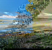 Black Oaks Picnic Area - Surfers Paradise Gold Coast
