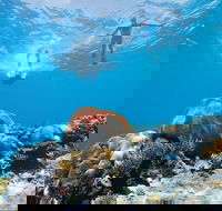 Capricorn Coast and Great Keppel Island Drive Itinerary - Surfers Paradise Gold Coast