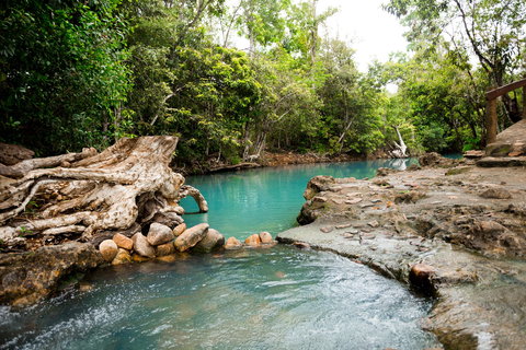 Cardwell Spa Pool - Surfers Paradise Gold Coast 1