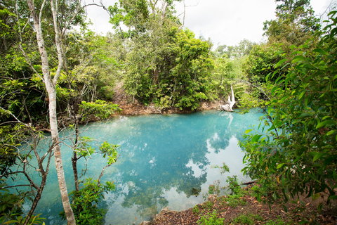 Cardwell Spa Pool - Surfers Paradise Gold Coast 2