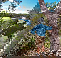 Corkwood and Scribbly Gum Walking Track - Surfers Paradise Gold Coast