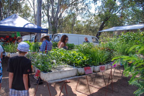 Fernvale Country Markets - Surfers Paradise Gold Coast 0