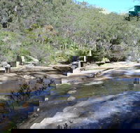 Frere's Crossing Bushwalk - Surfers Paradise Gold Coast