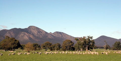 Grampians - Surfers Paradise Gold Coast 0