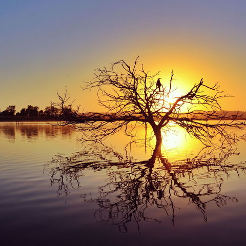 Lake Dyer - Surfers Paradise Gold Coast 0