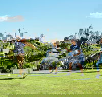 Moore Park Golf Course - Surfers Paradise Gold Coast