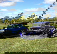 Moree Motor Enthusiasts - Surfers Paradise Gold Coast