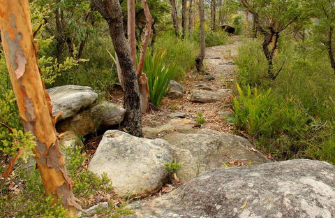 Mount Olive Trail - Surfers Paradise Gold Coast 0