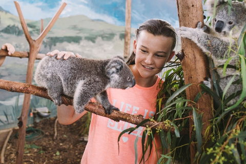 Oakvale Wildlife Park - Surfers Paradise Gold Coast 0