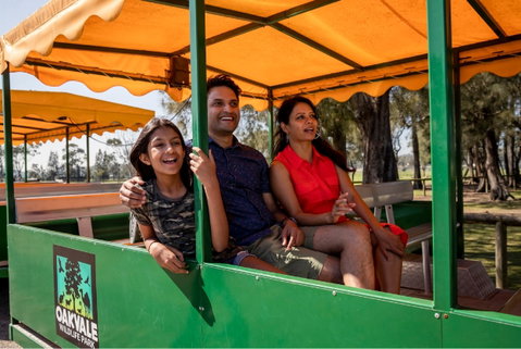 Oakvale Wildlife Park - Surfers Paradise Gold Coast 2