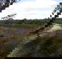 Penola Conservation Park - Surfers Paradise Gold Coast