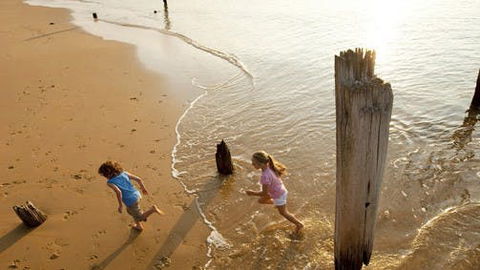 Phillip Island - Surfers Paradise Gold Coast 0