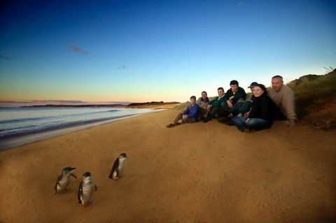 Phillip Island - Surfers Paradise Gold Coast 2