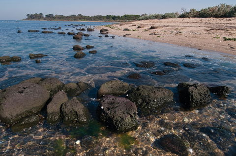 Point Cook Marine Sanctuary - Surfers Paradise Gold Coast 0
