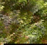 Powder Magazine walking track - Surfers Paradise Gold Coast