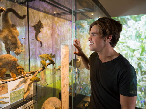 Queensland Museum - Surfers Paradise Gold Coast 0